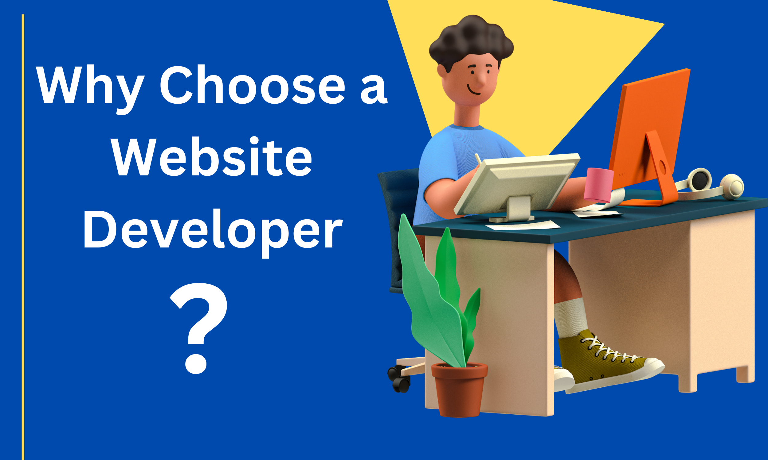 Why Choose a Website Developer Delhi